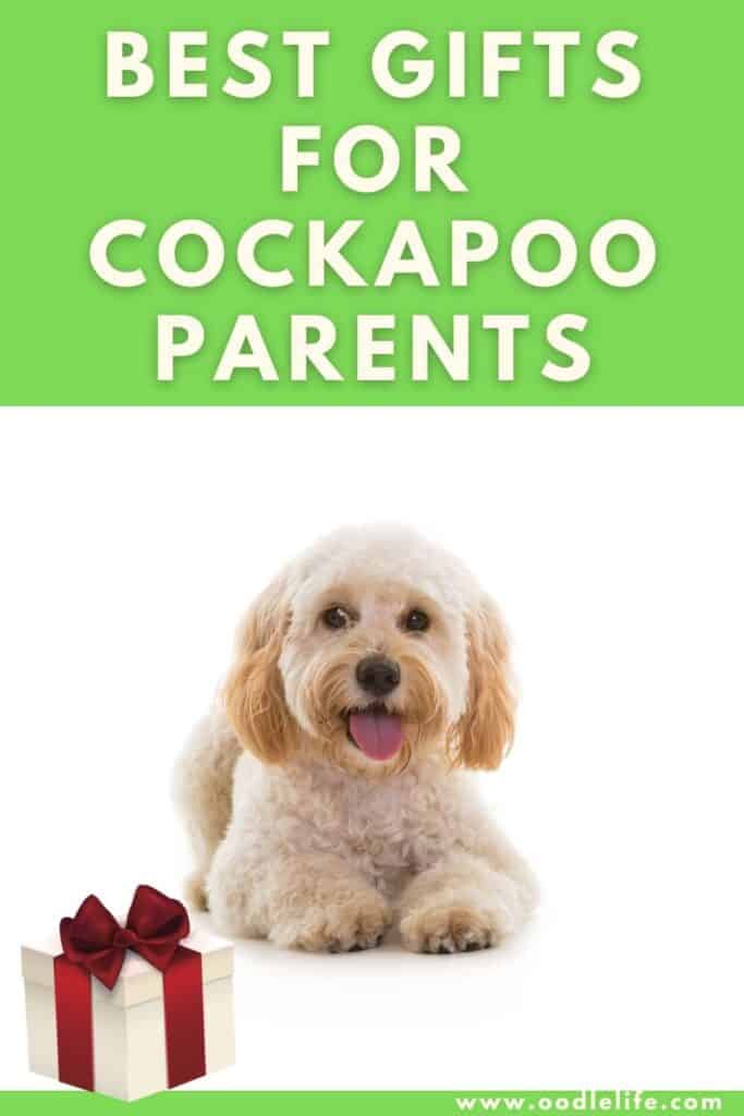 PERSONALISED COCKAPOO dog OWN PHOTO wall plaque sign pet puppy gift add own text 