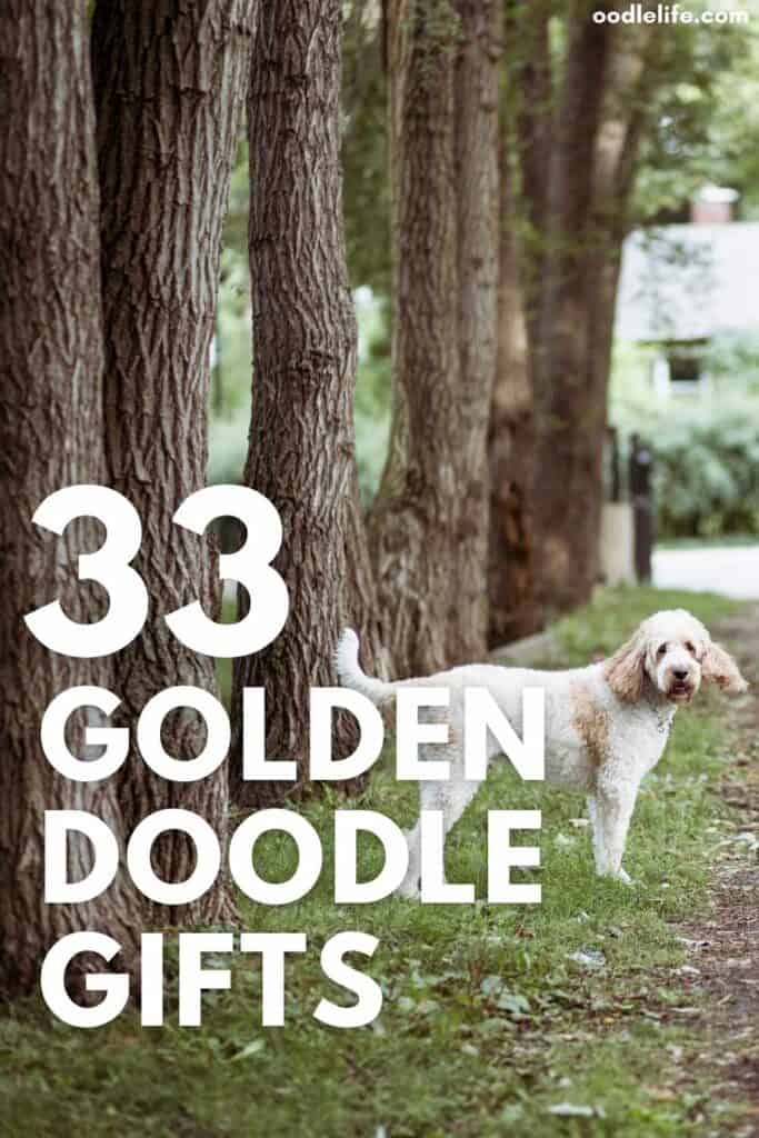 best goldendoodle gifts