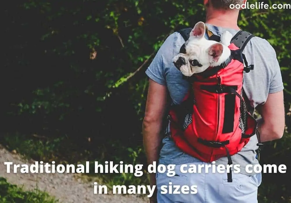 dog hiking backpack