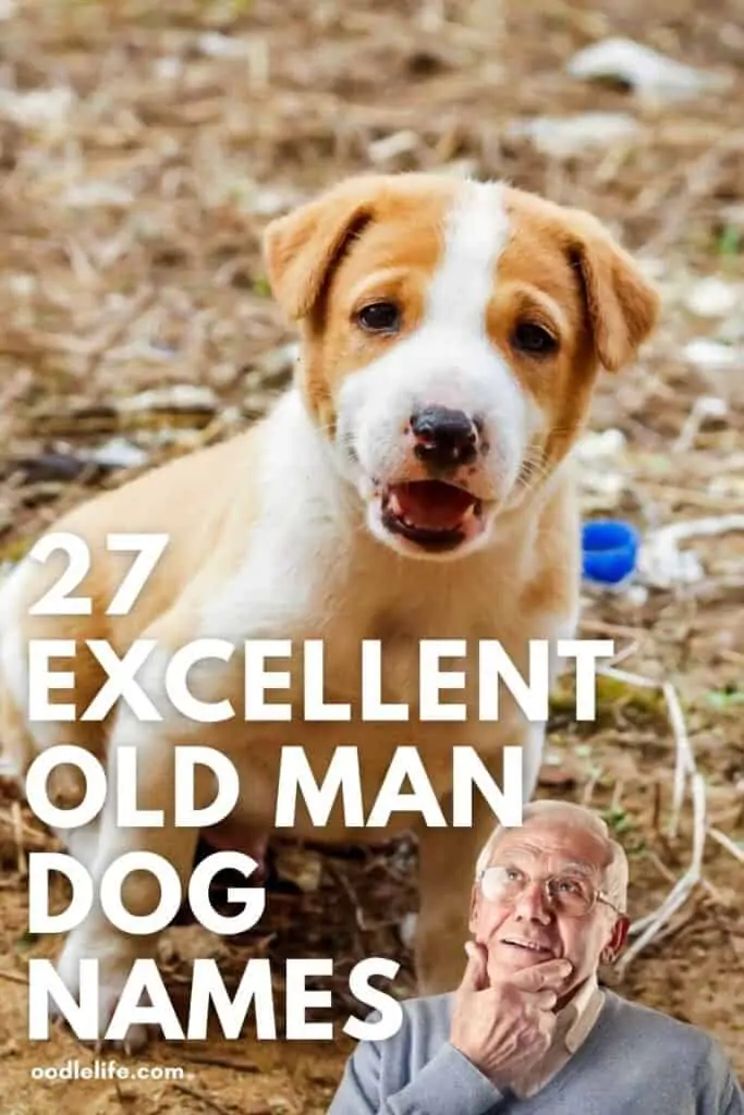 27 good old man dog names Pinterest pin