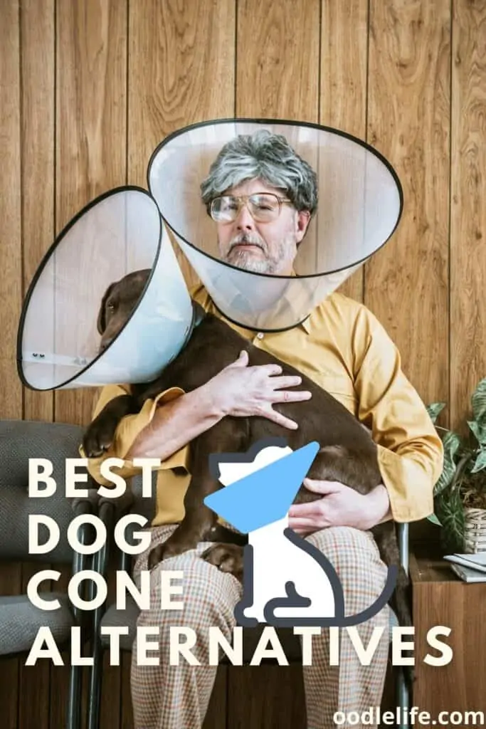 best dog cone alternatives