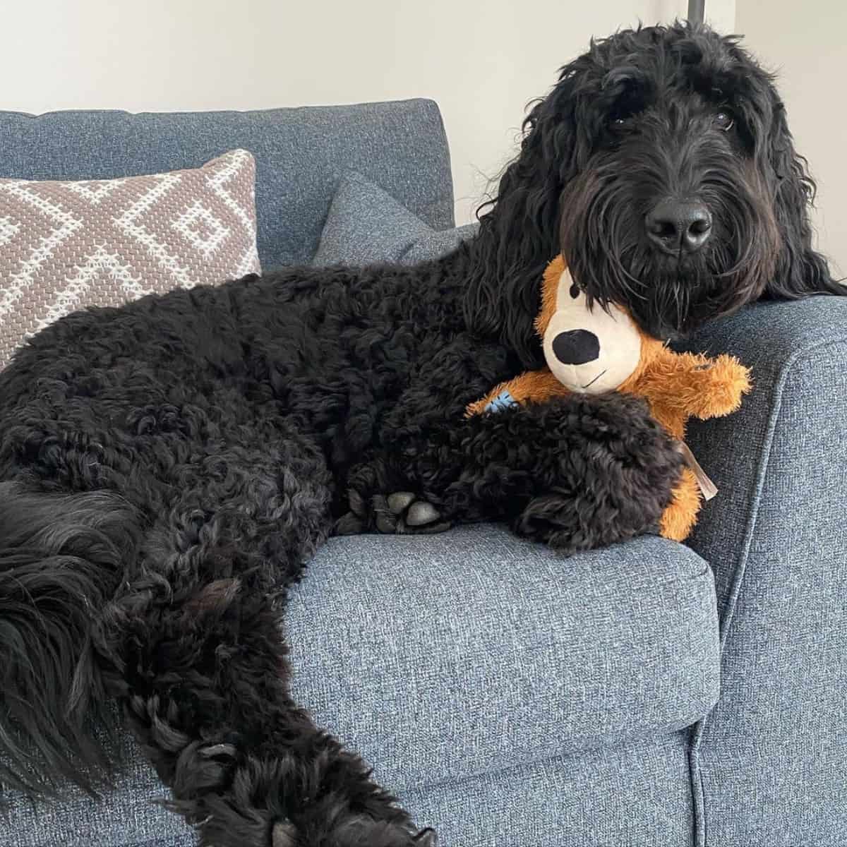 hugging a new toy