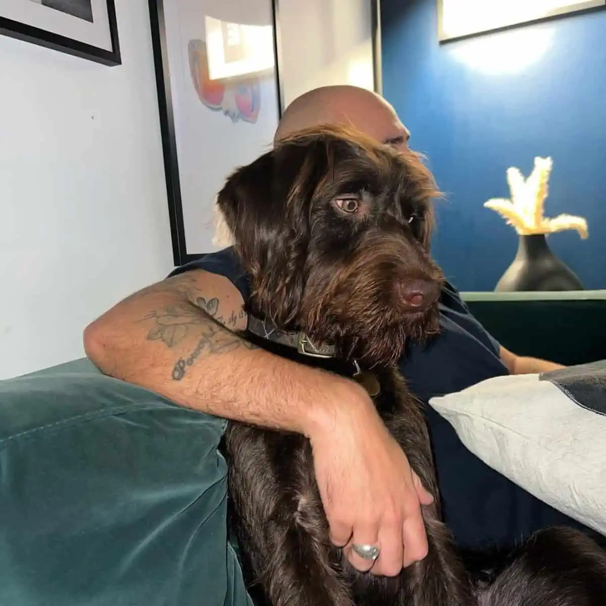 owner with his Labradoodle