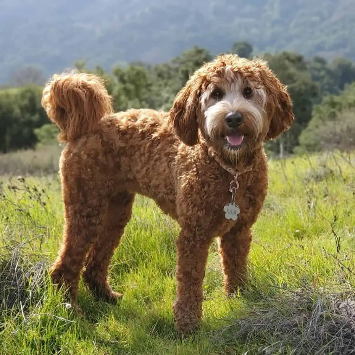 standing on the trail