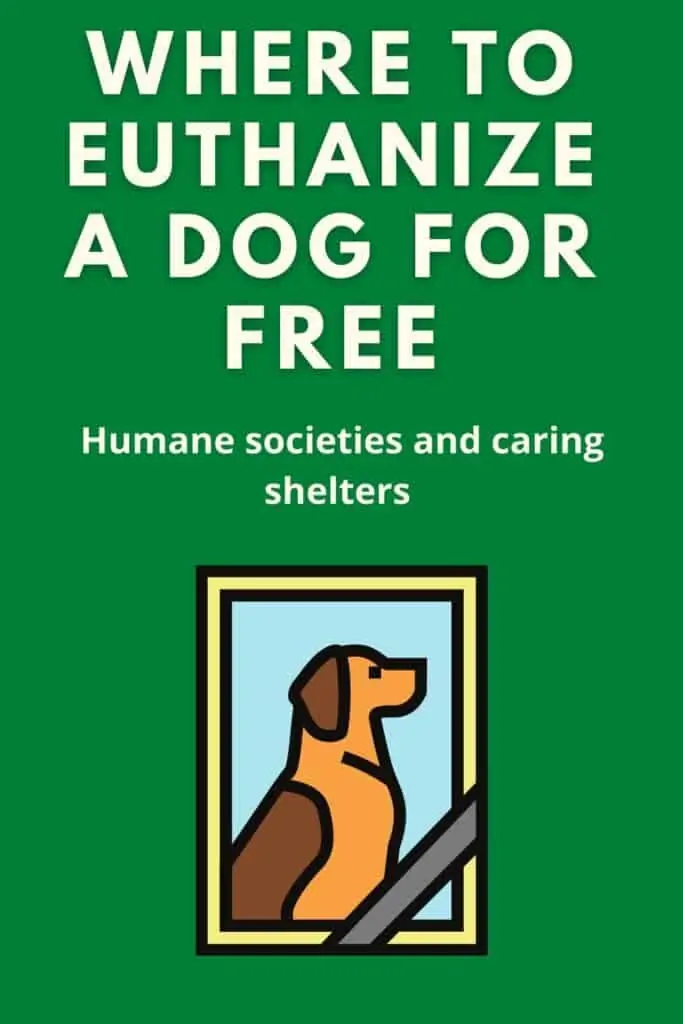 where to euthanize a dog for free