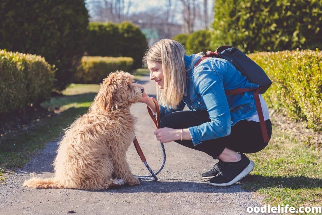 Why Do Animals Gravitate To Me? - Oodle Life Why Do Animals Gravitate To Me? - Oodle Life