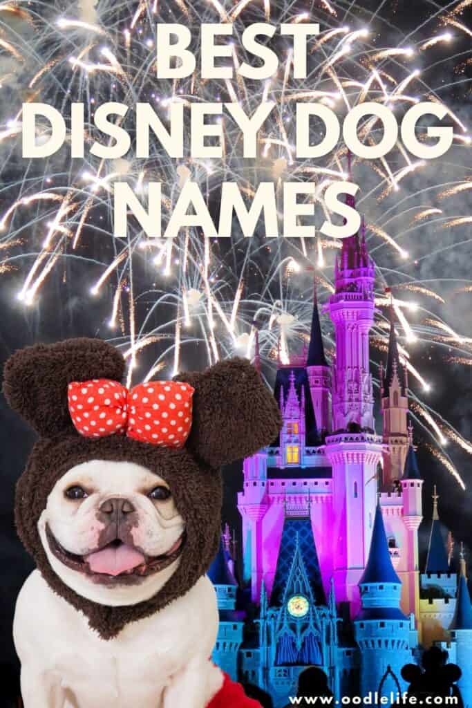 disney dogs names