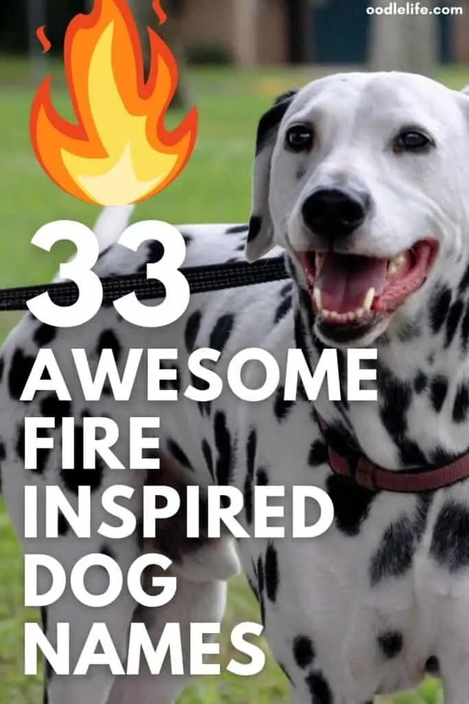 best fire dog names