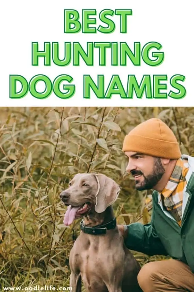 best hunting dog names