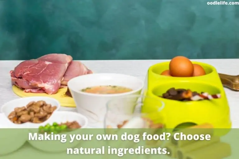 How To Cook Chicken For a Dog?