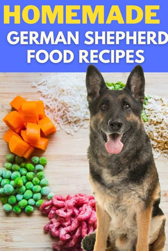 how many calories does a german shepherd puppy need