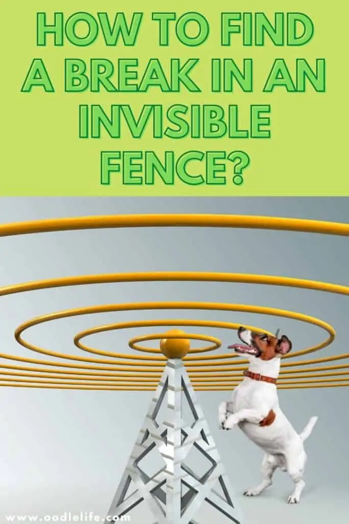 how to find a break in an invisible fence
