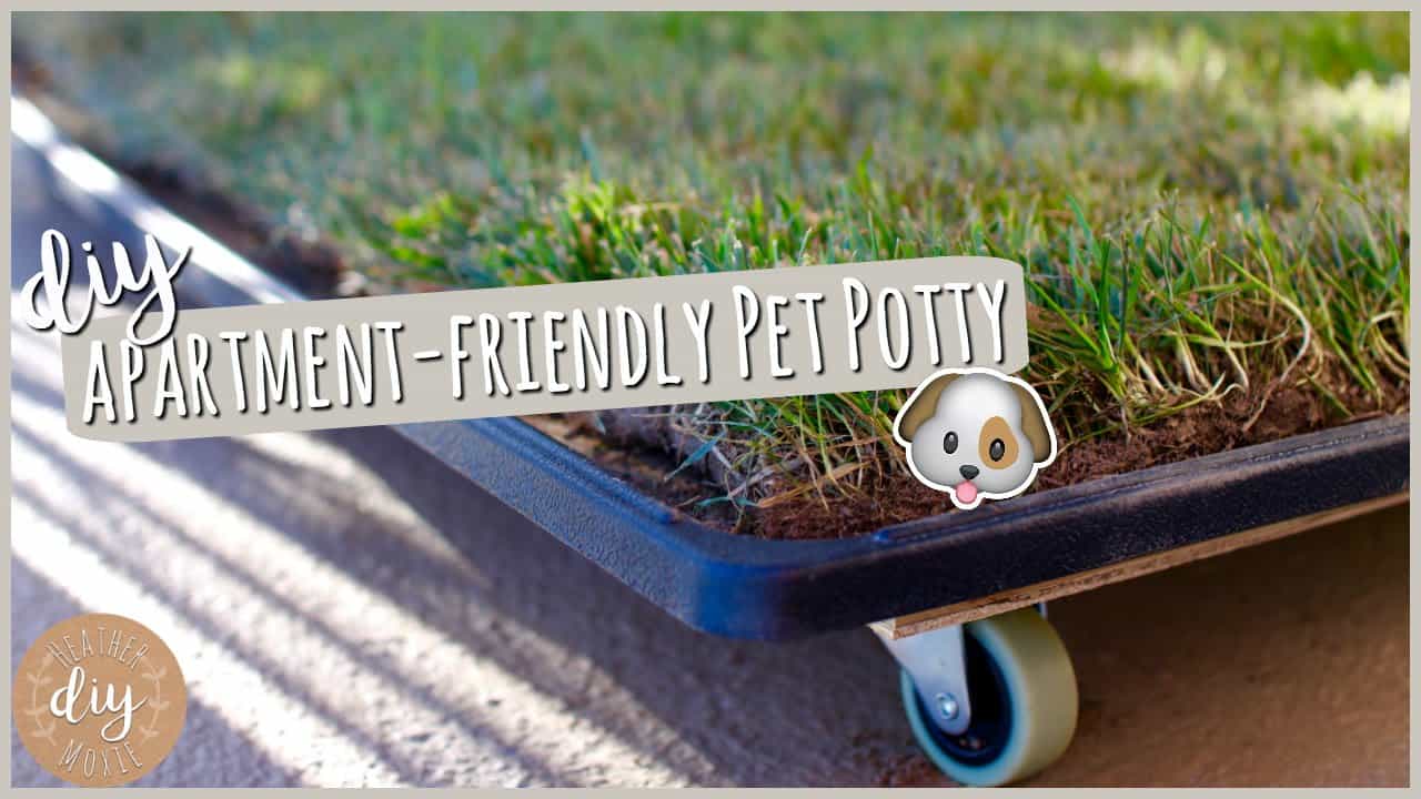 diy grass pee pad