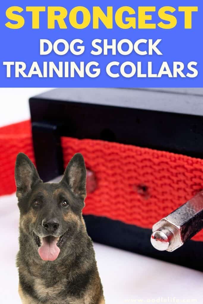 strongest dog shock collars