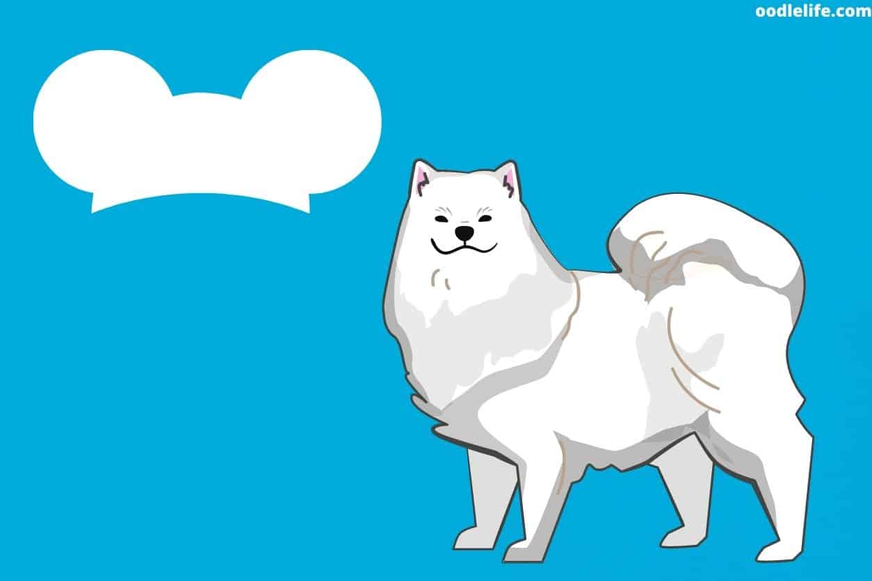 31 Actually Good Video Game Dog Names - Oodle Life