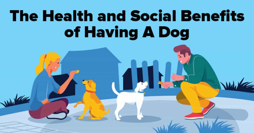 The Health and Social Benefits of Having A Dog