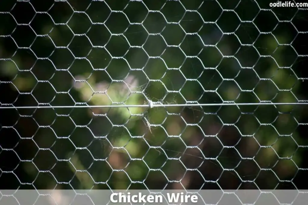 chicken wire for dog fence