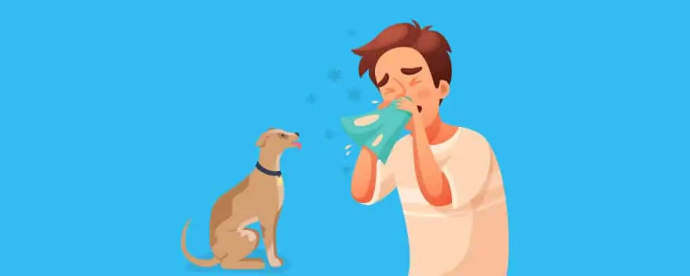 Sneezing because of dog