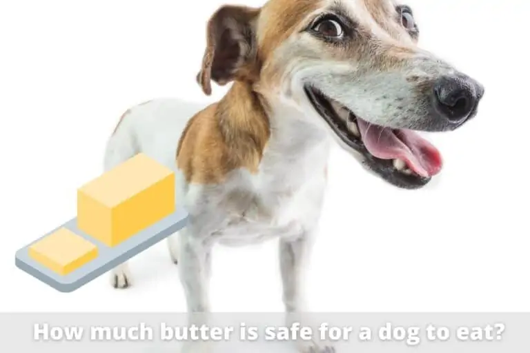 My Dog Ate a Stick of Butter