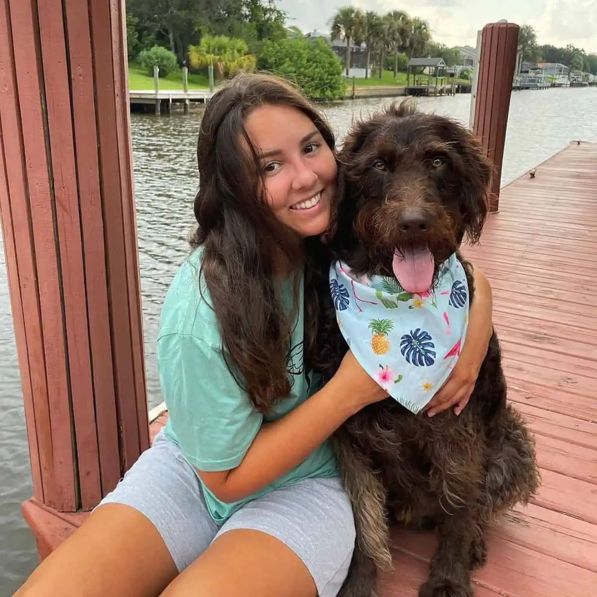 woman hugs the Labradoodle