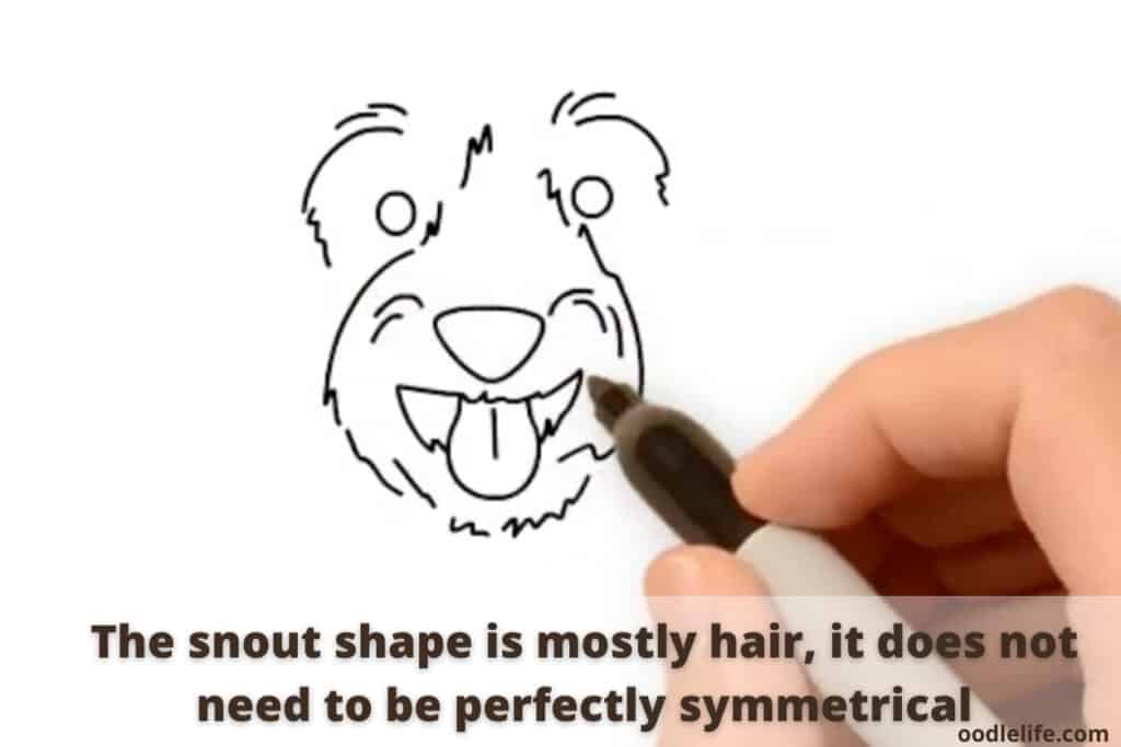 how to draw a labradoodle
