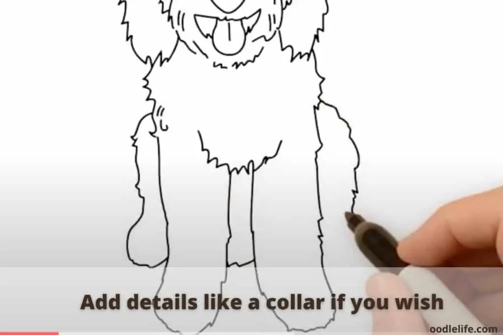 how to draw a labradoodle