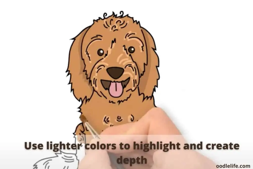 how to draw a labradoodle