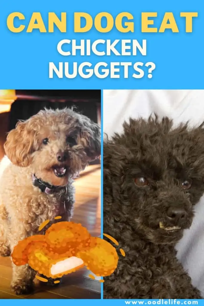 can dogs eat chicken nuggets