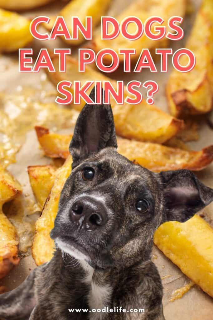 are potatoes skins bad for dogs