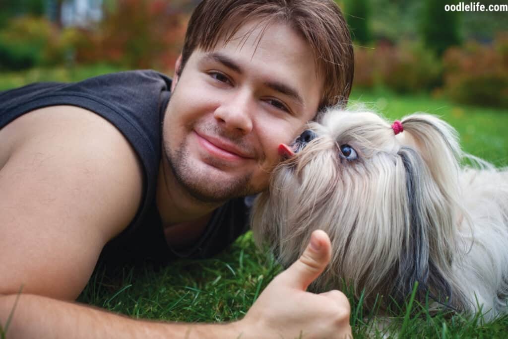 Can you use a pregnancy test on a dog?