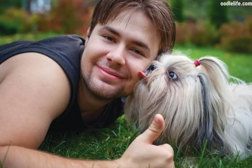 a shih tzu licking its owners face