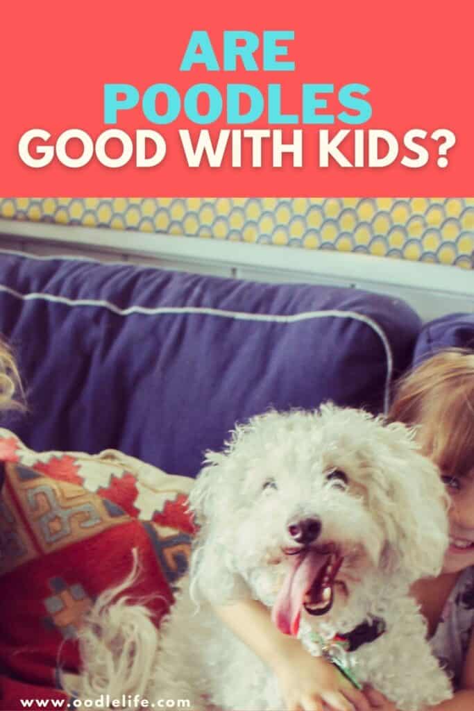are poodles good with kids