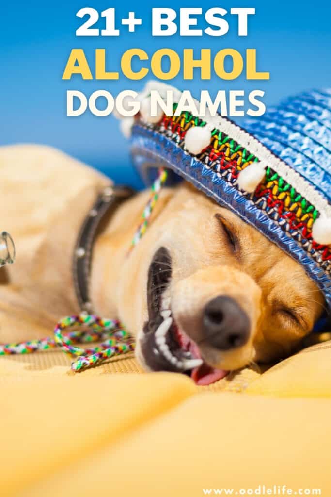 best alcohol dog names