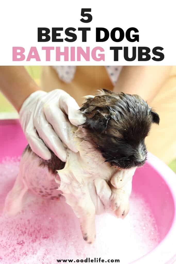 best dog bathing systems