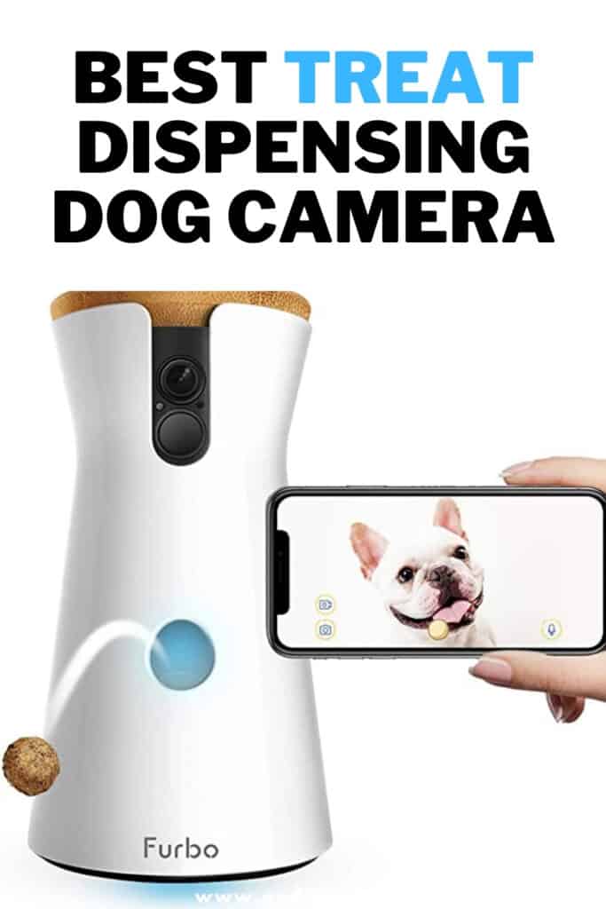best dog camera treat dispenser