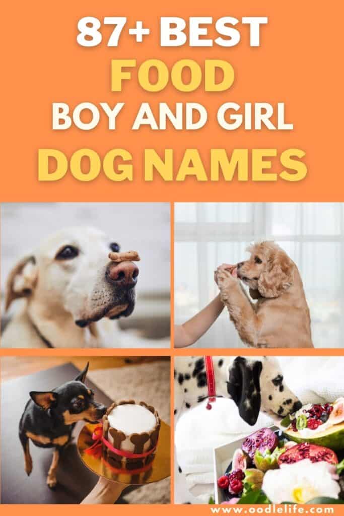 best food names for dogs
