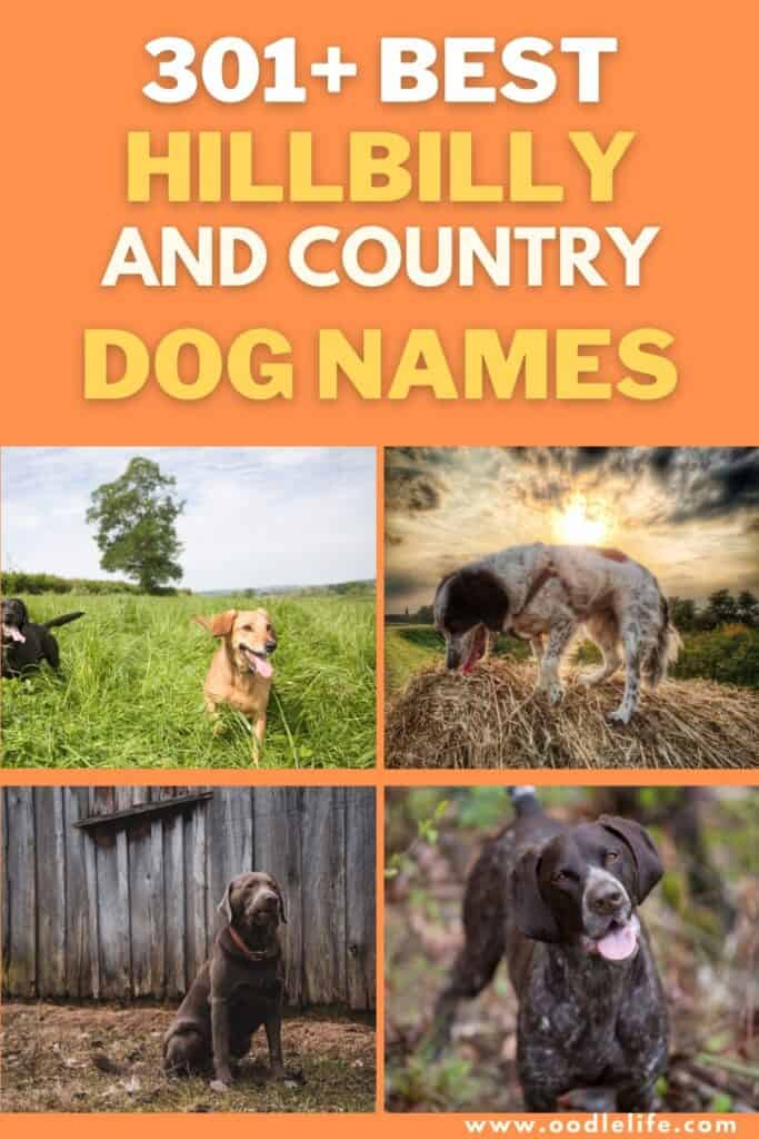 301+ Best Hillbilly Names For Dogs - Oodle Life 301+ Best Hillbilly Names For Dogs - Oodle Life