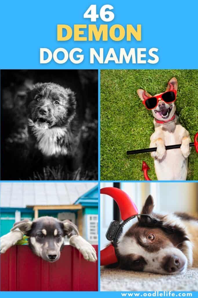 best demon dog names