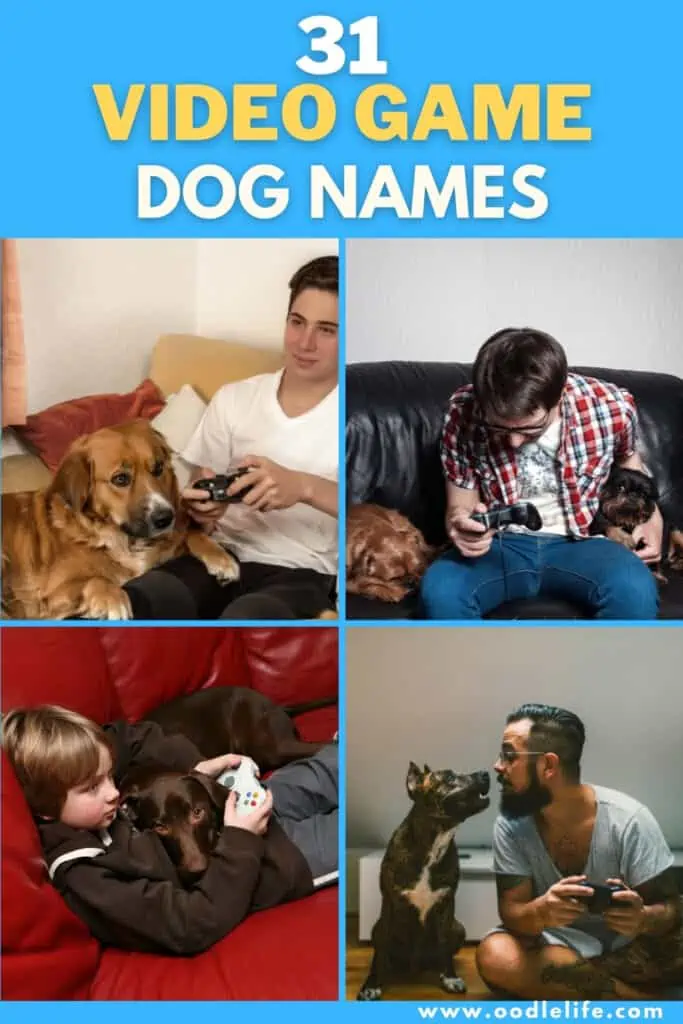 good video game dog names