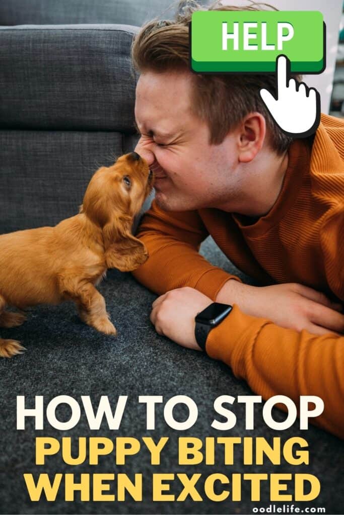 how do you stop puppy biting