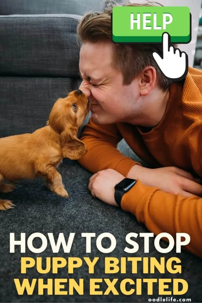how to stop my dog from biting when excited