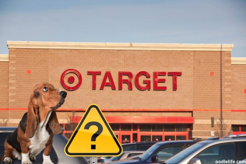 are dogs allowed in target