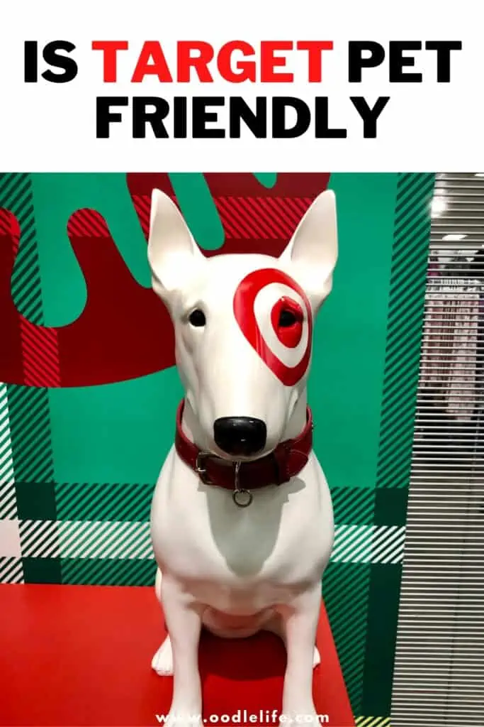 is target pet friendly