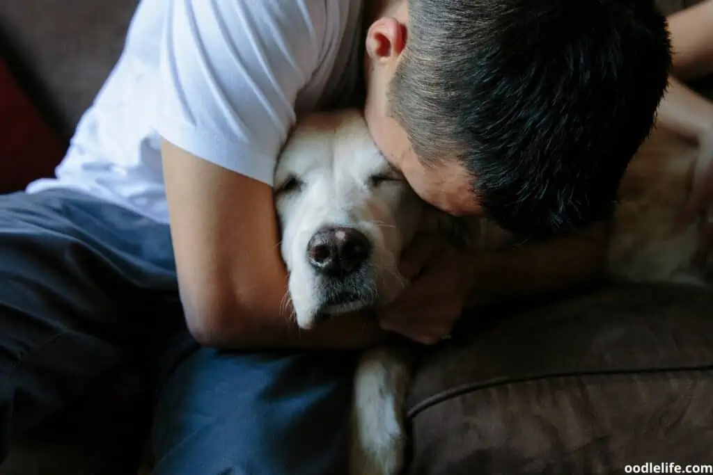 hugging a golden retriever