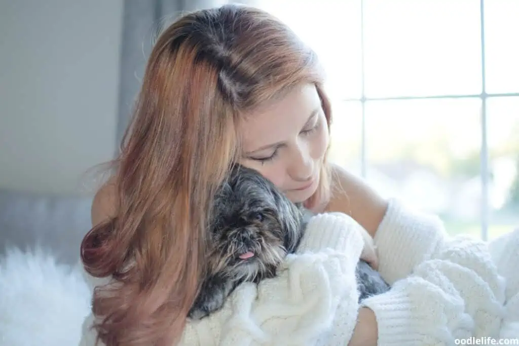 owner hugging a puppy