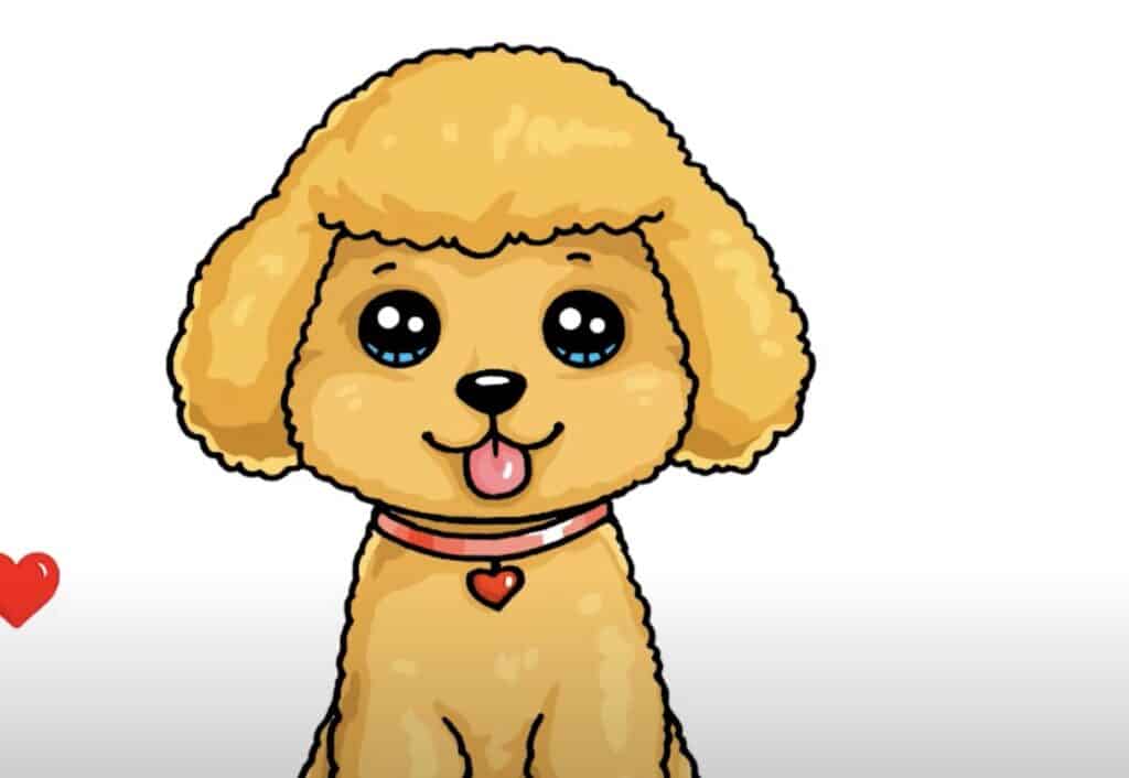 poodle drawing