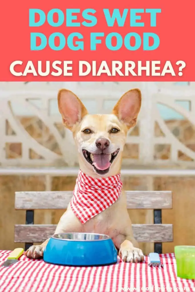 does wet dog food cause diarrhea