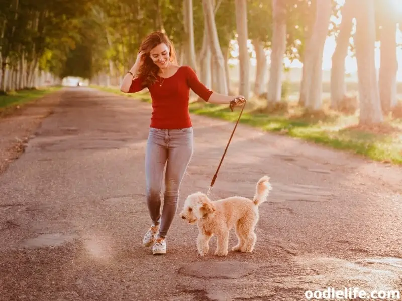 woman walking with Poodle