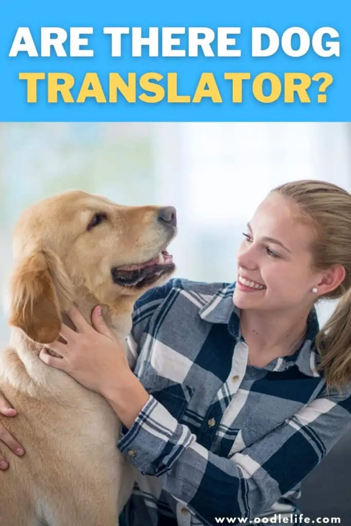 are there dog translators