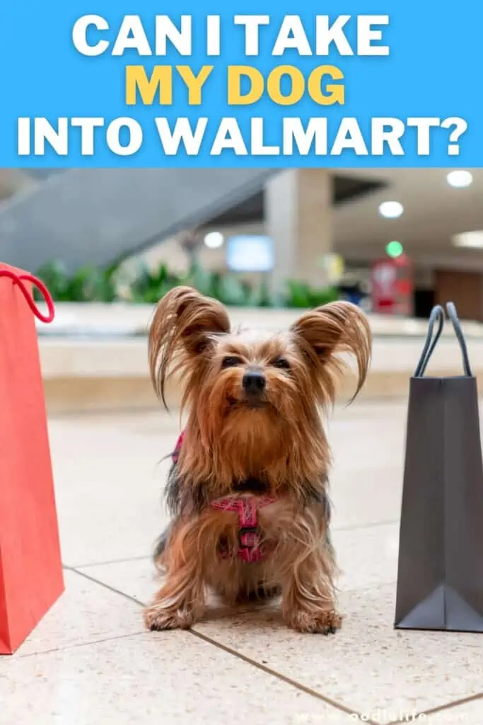 can I take my dog into Walmart